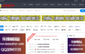 某资源网织梦系统美化模板