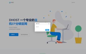 全新DHPST分销系统分销系统