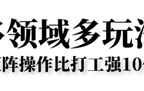 多领域多玩法，矩阵操作比打工强10倍