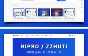 RIpro子主题logohe美化，WordPress虚拟资源分享主题ripro子主题美化
