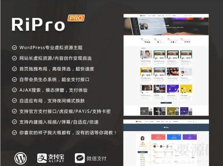 RiPro-V2去授权WordPress主题RiPlus虚拟收费主题源码+资源