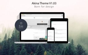 WordPress主题 极简主题Akina