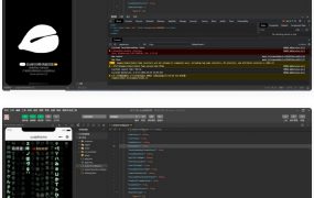 【亲测】最近非常火的电子木鱼流量主小程序源码